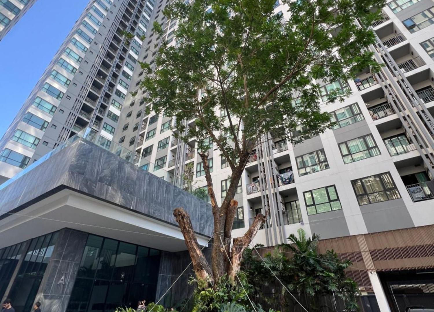 秘狗公寓the Base อพาร์ทเม้น Pattaya