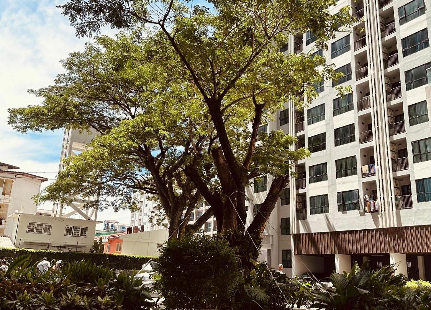 The Base At *