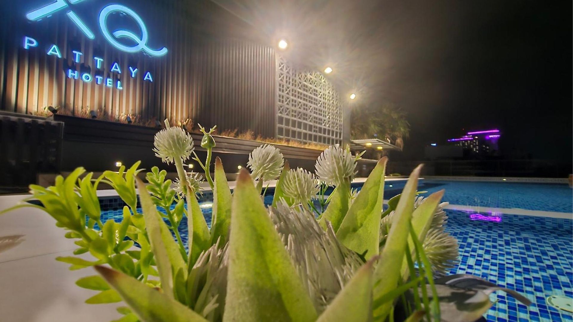 โรงแรม Xq Pattaya