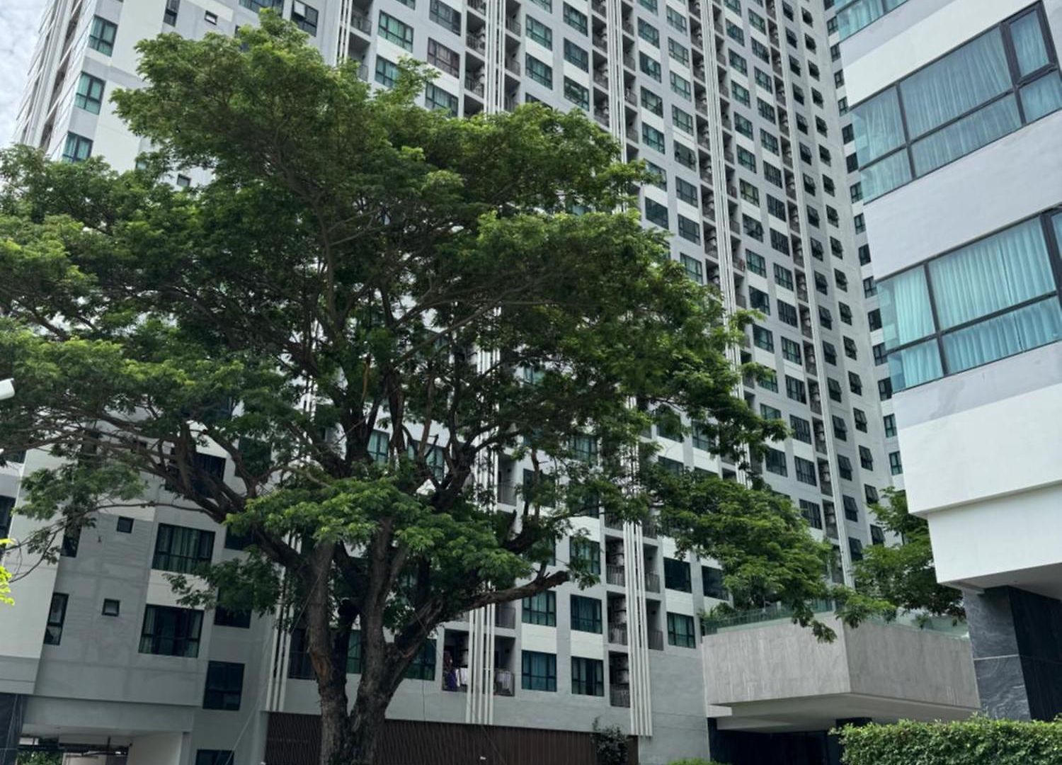 芭提雅市中心the Base 高端公寓酒店