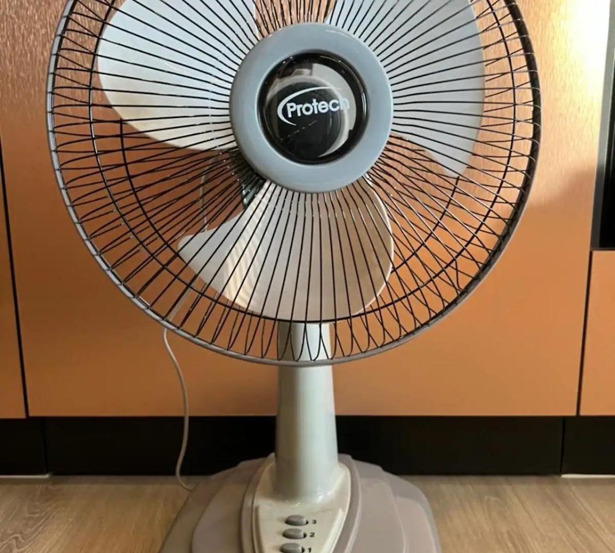 Floor Intimate Pleasure The Nestsuite#e92 *