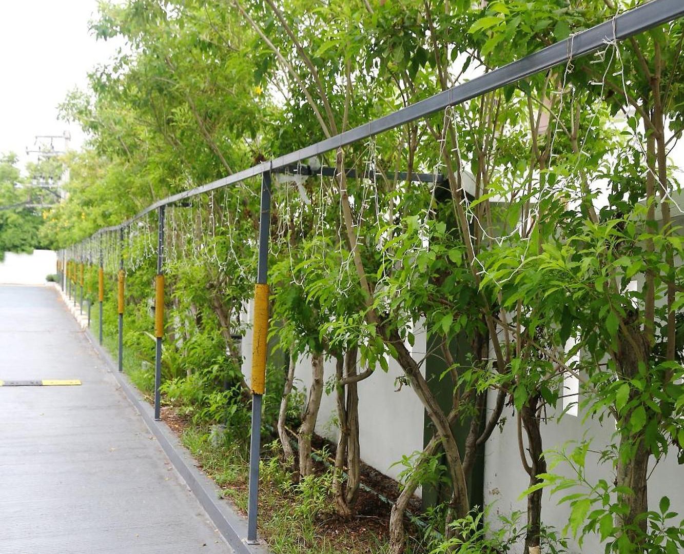 Arthitaya Nature & Lakkhana Poolside