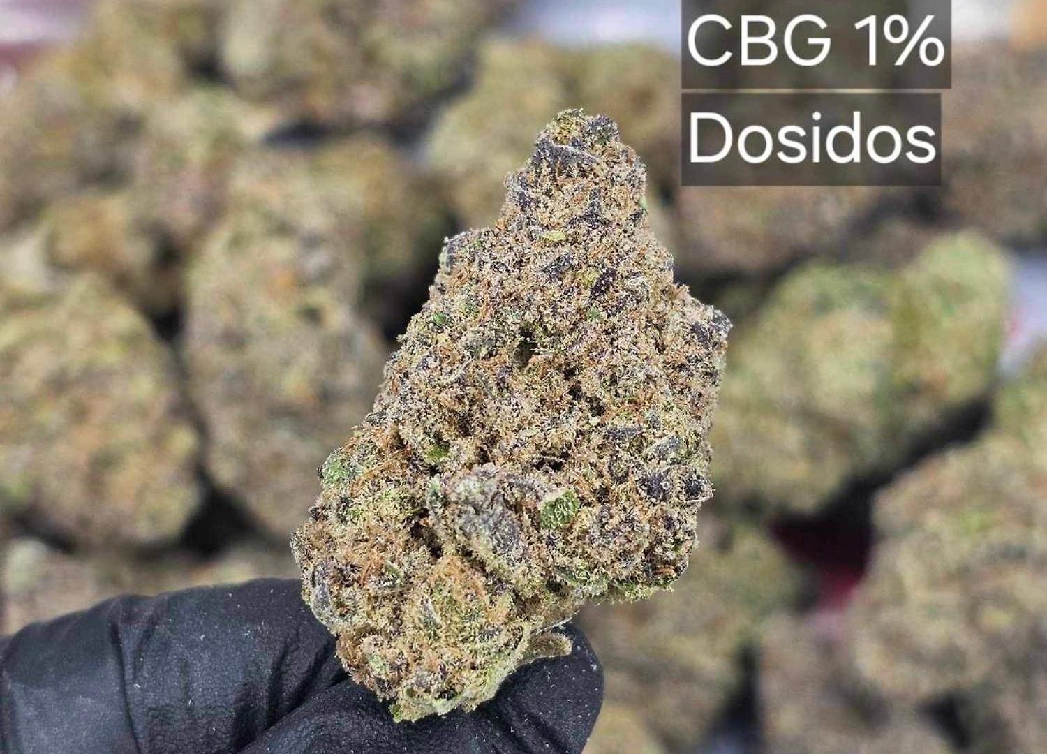 Happiness Community Wake & Bake - Rooftop Bar & Bistro