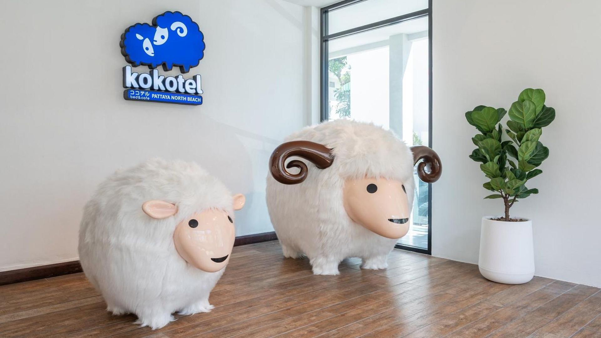 โรงแรม Kokotel North 3*
