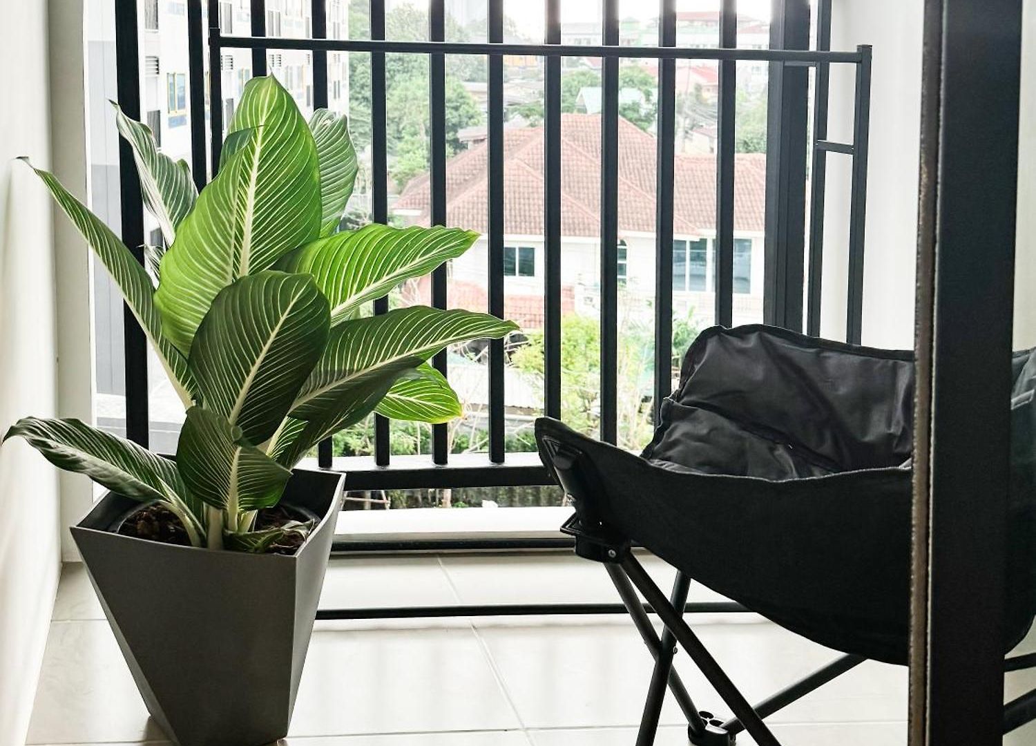 อพาร์ทเม้น Vuela Casa 2