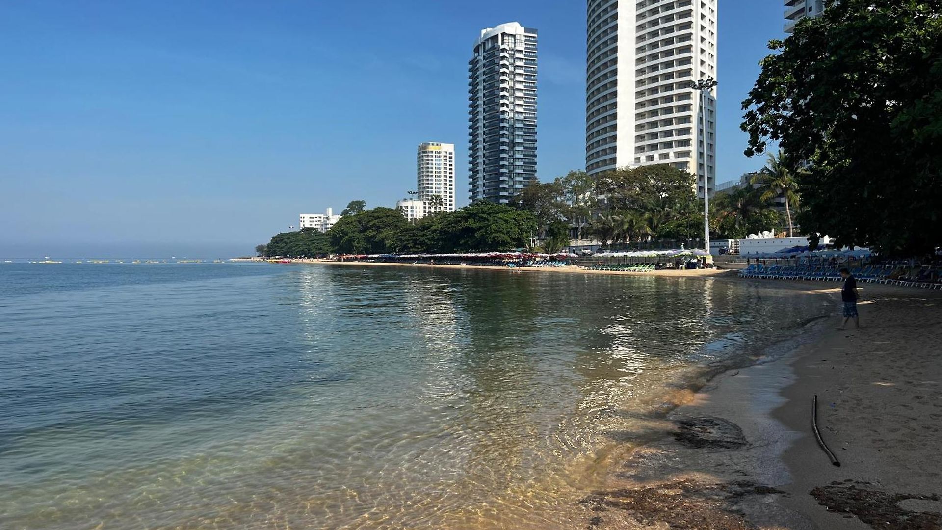 Felici Org Pattaya