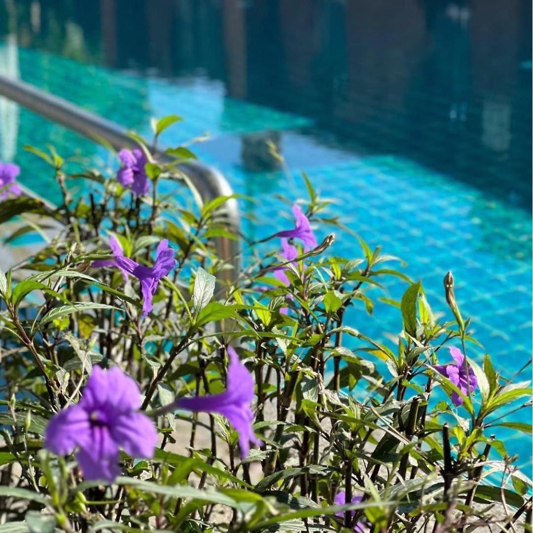 Hotel Pattara Mansion พัทยา Pattaya