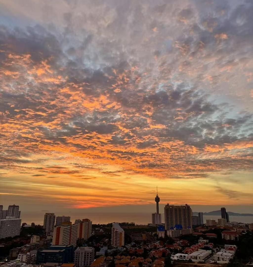 อพาร์ทเม้น Supalai Sea View 1b1b Pattaya