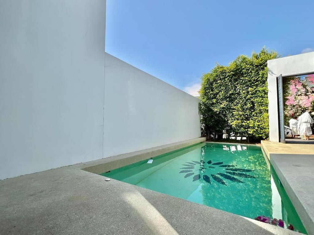 Palm Spring *