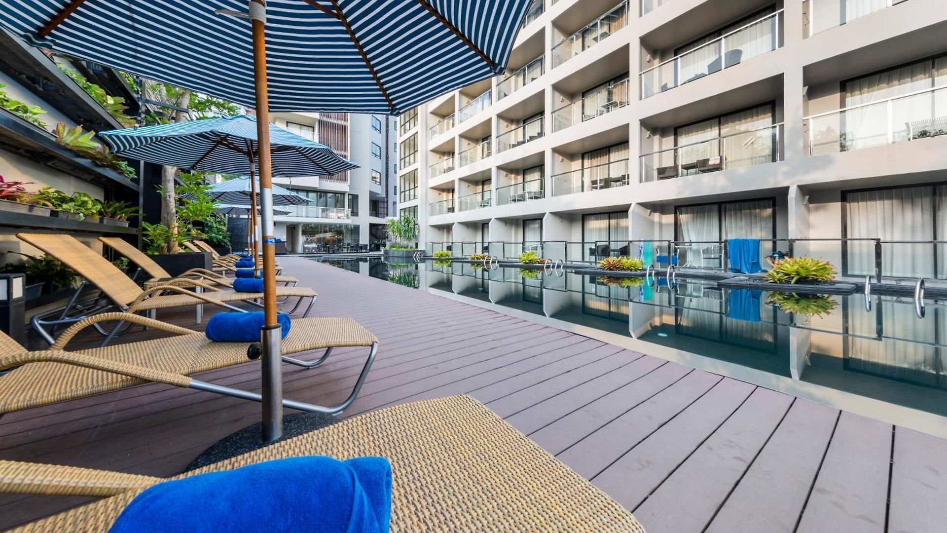 โกลเดน ทิวลิป พัทยา บีช รีสอร์ต Pattaya