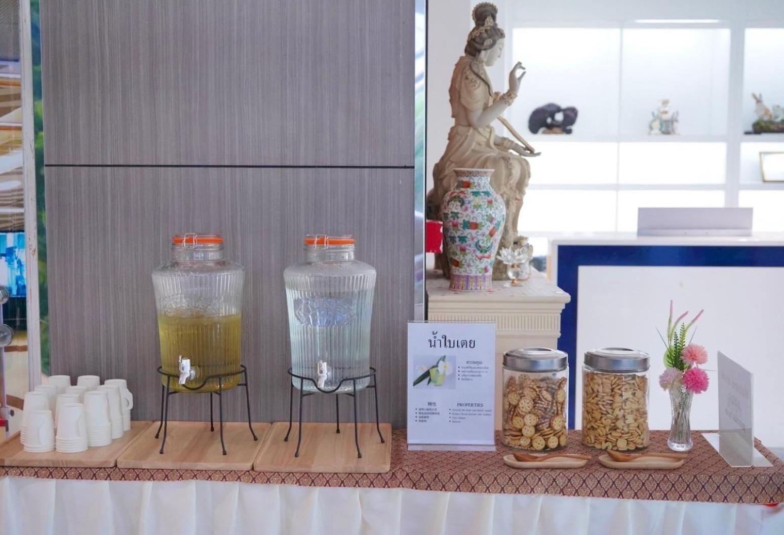 D Eco Wellness Center โรงแรม