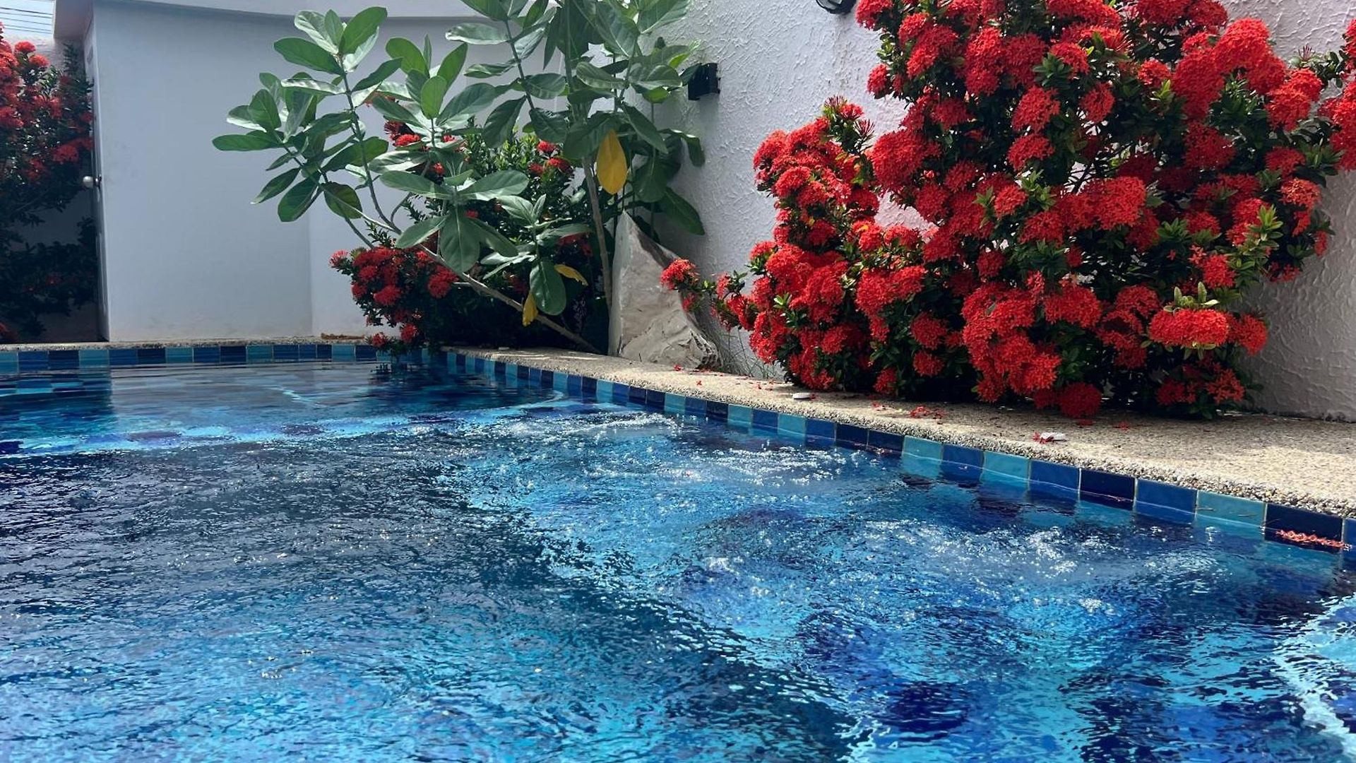 Luxury Villa, 5br 6ba, Private Pool With Jacuzzi Cityhouse54
