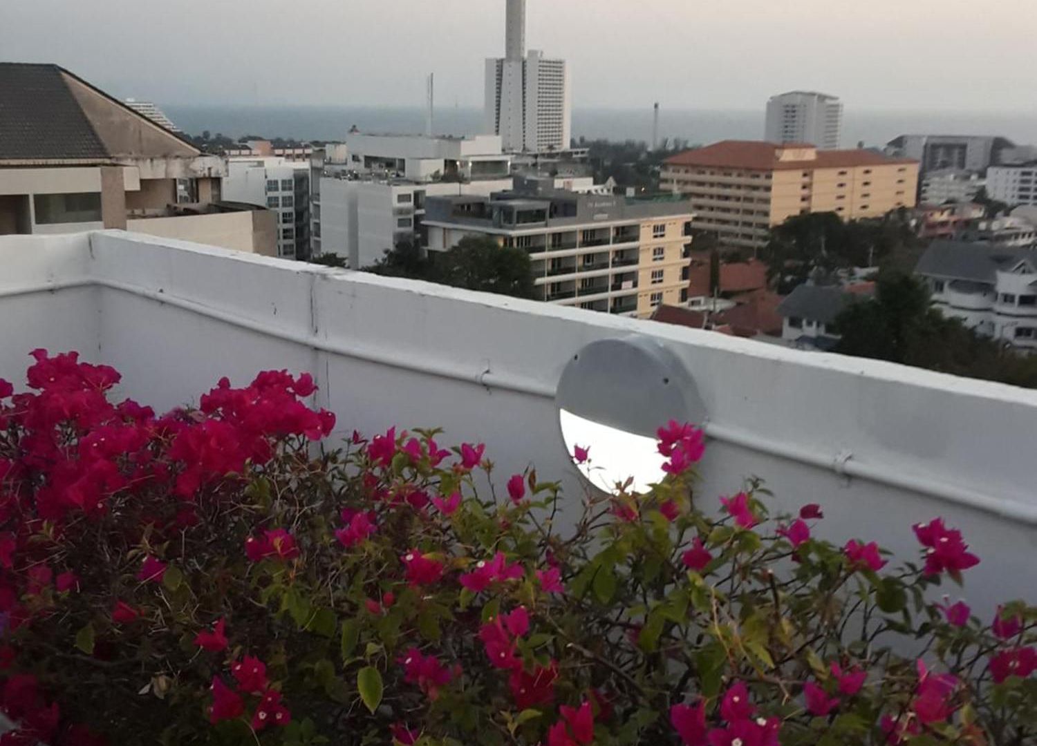 Aoh 20 Sqm 750 M