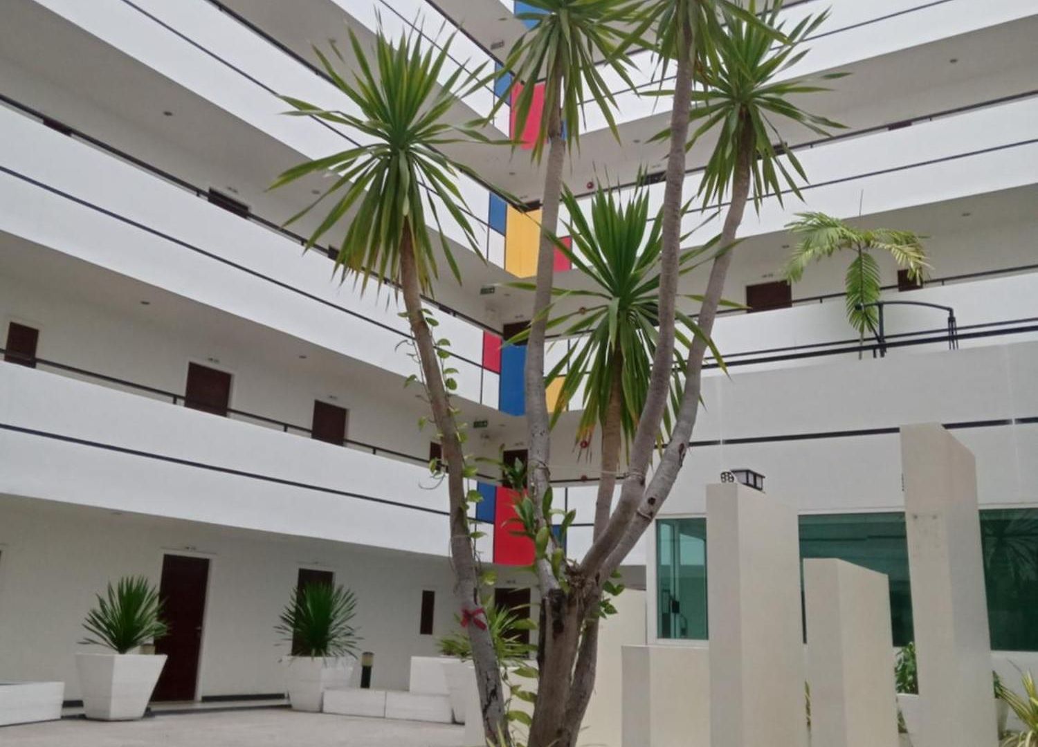 Aoh 20 Sqm 750 M