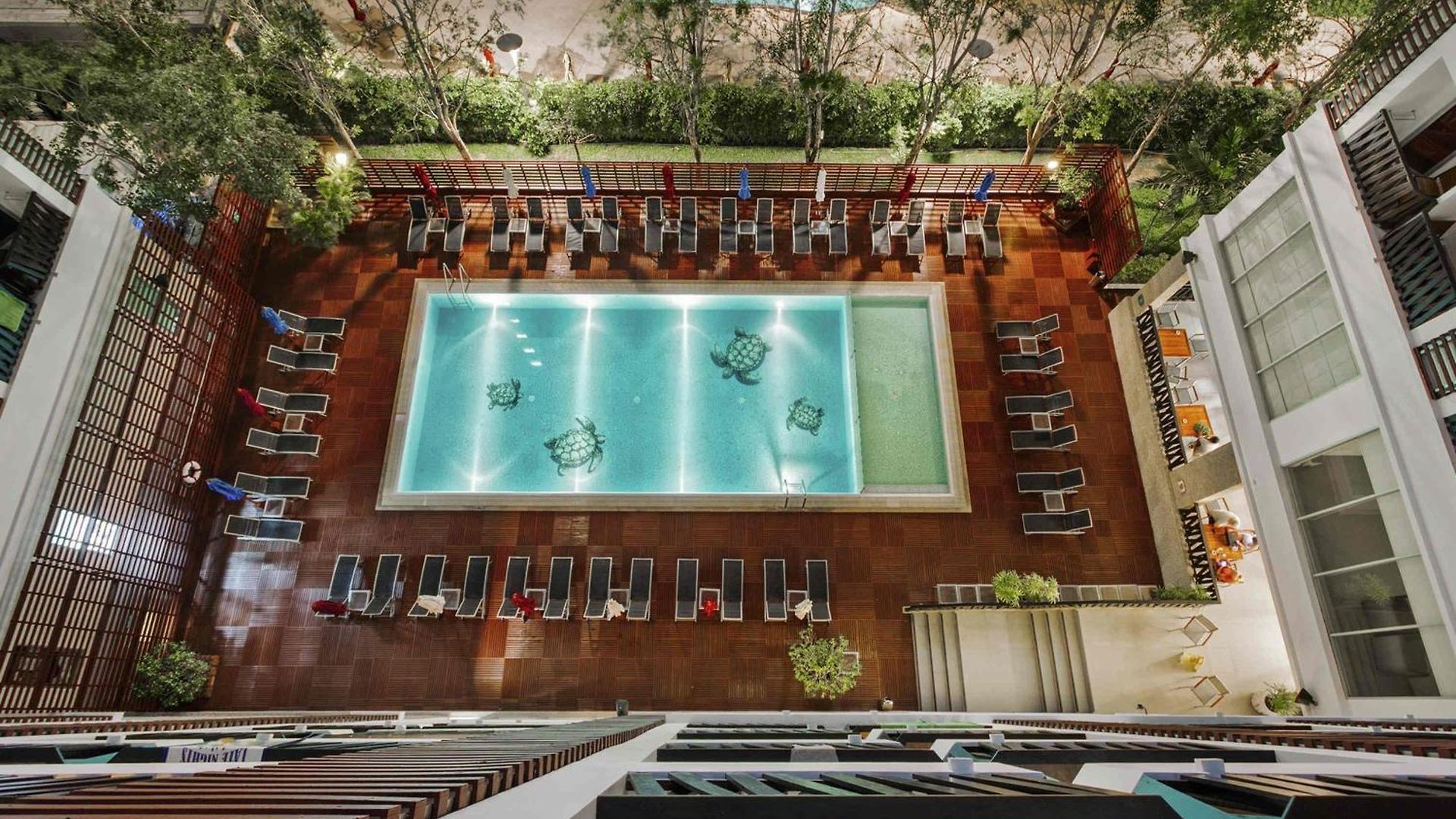 Ibis 3*