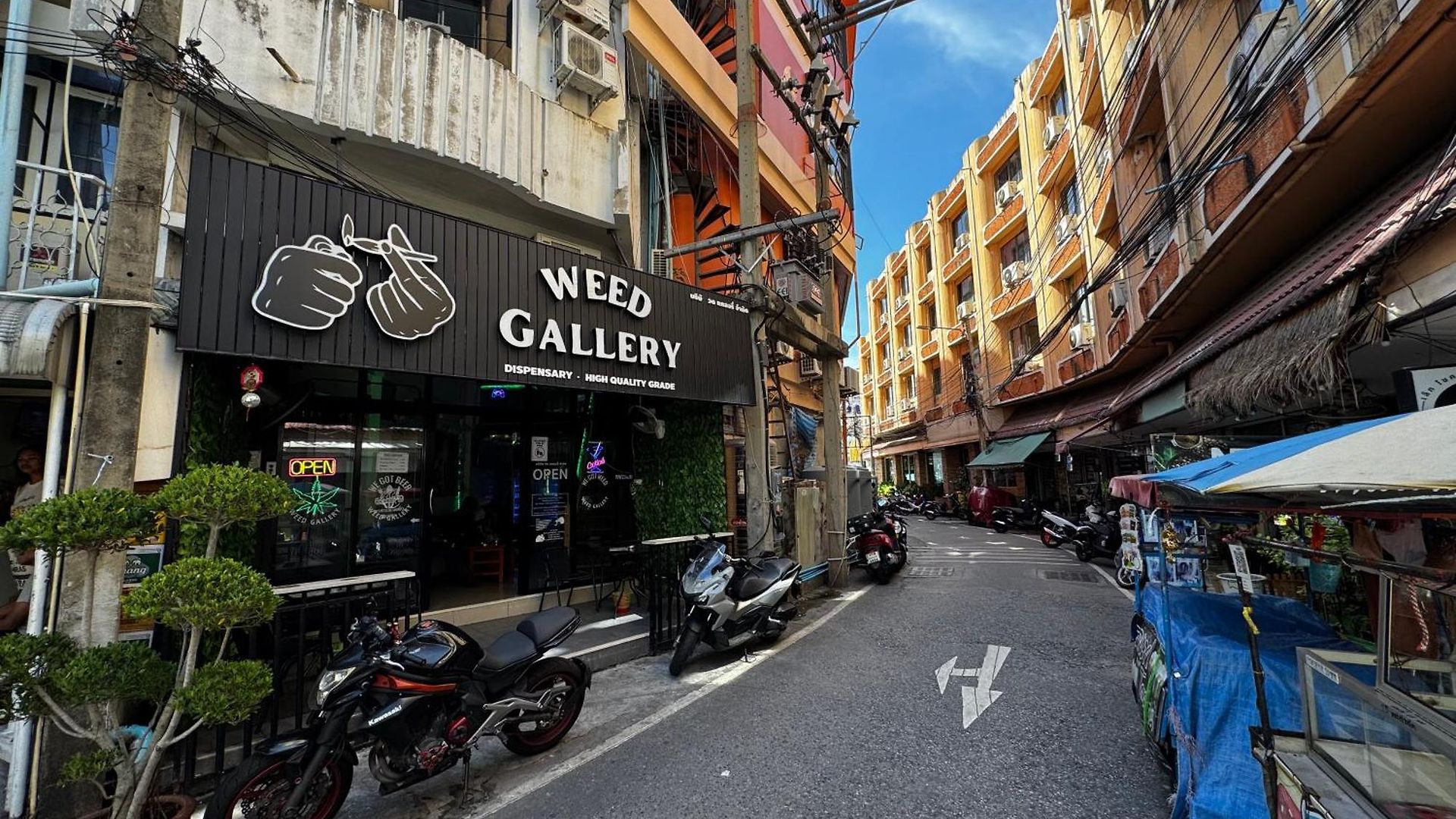 W33d Gallery