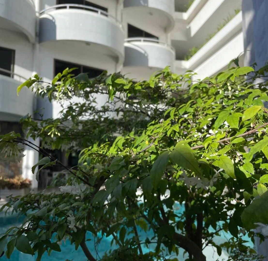 Hotel Garden Paradise Pattaya