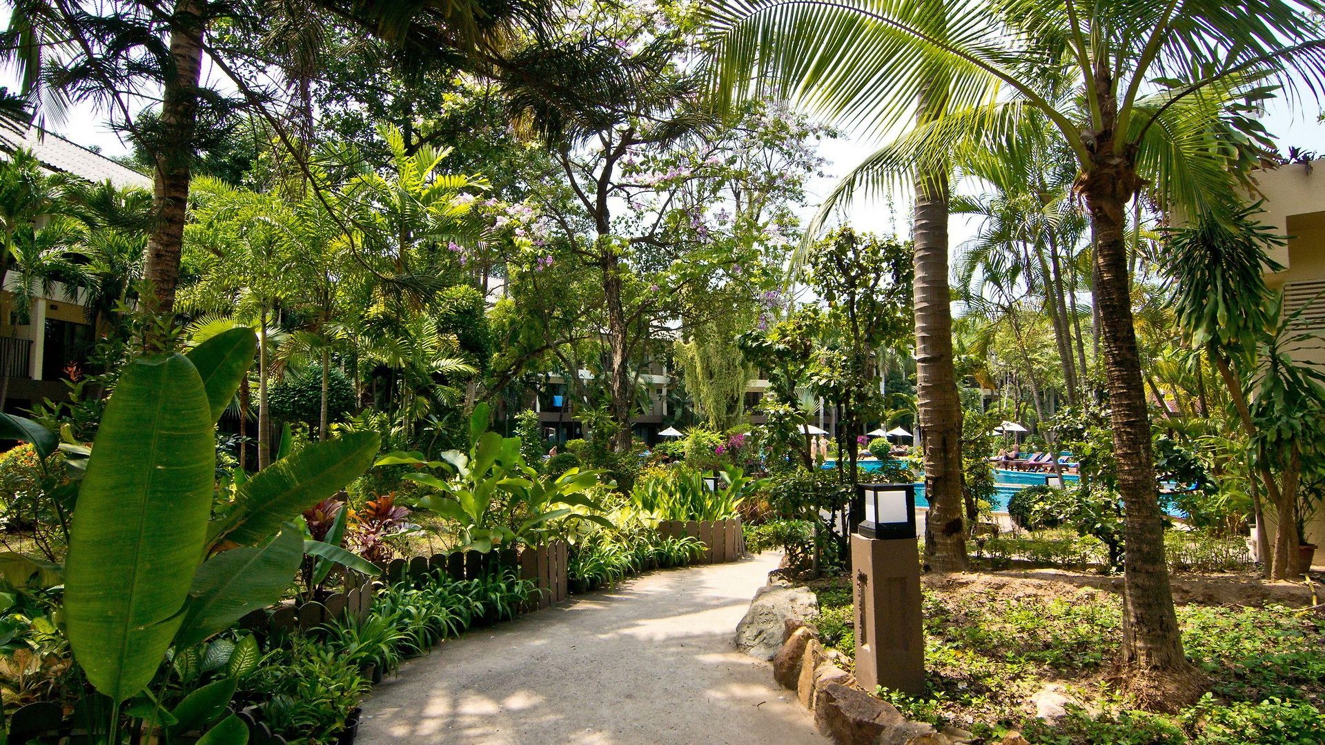 The Park