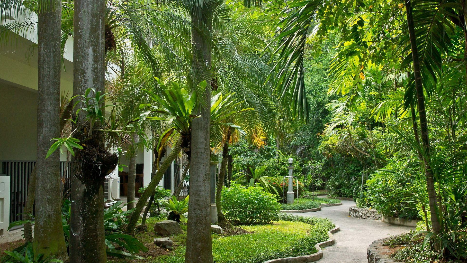 Sunshine Garden