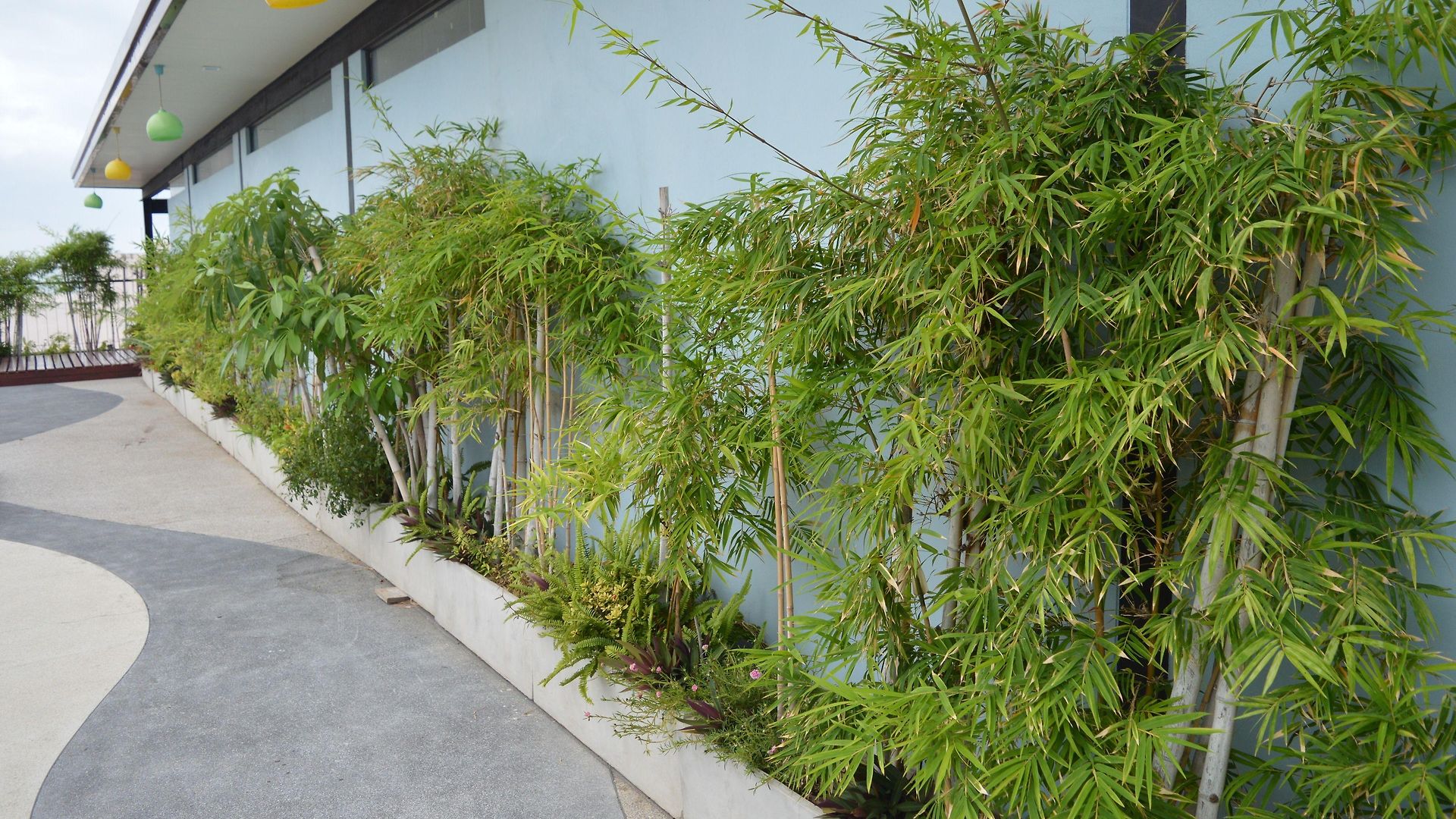 Aya Boutique - Sha โรงแรม