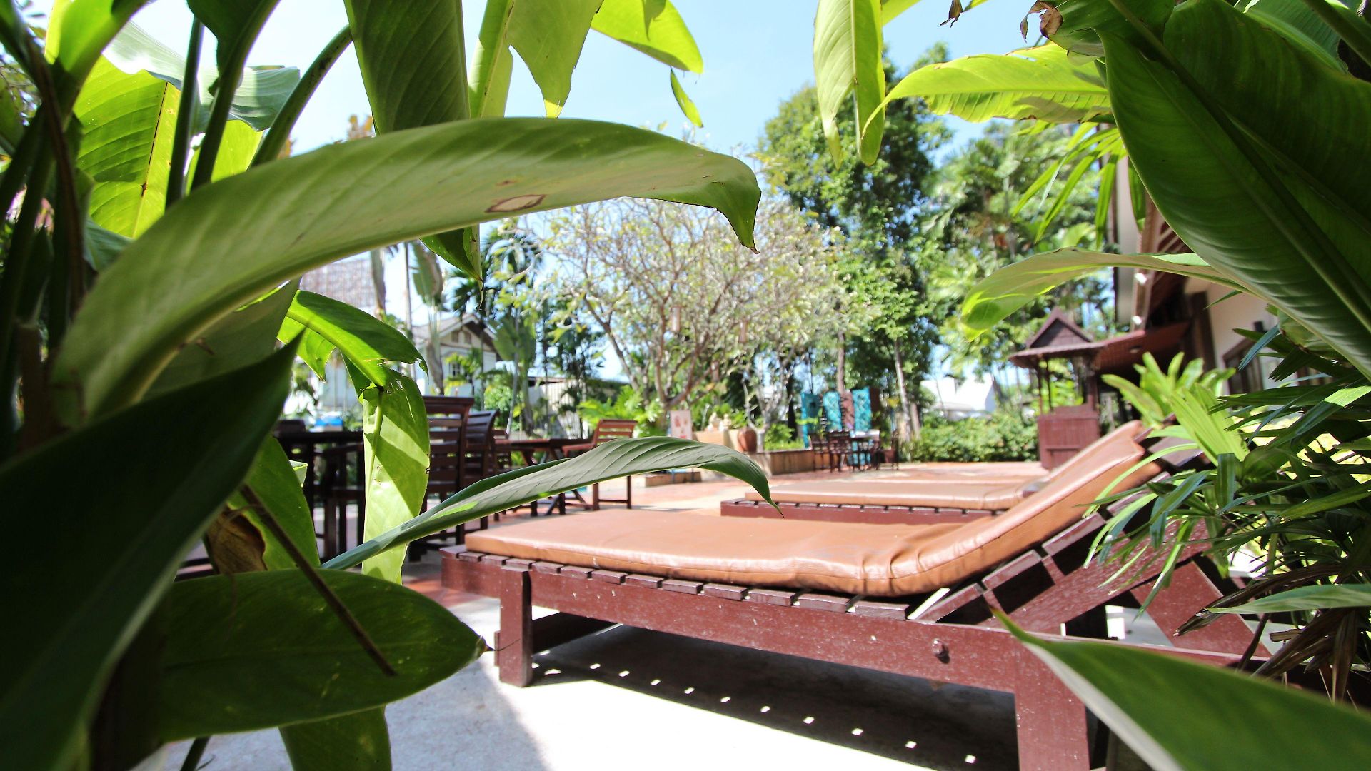 รีสอร์ท Gazebo Resort,