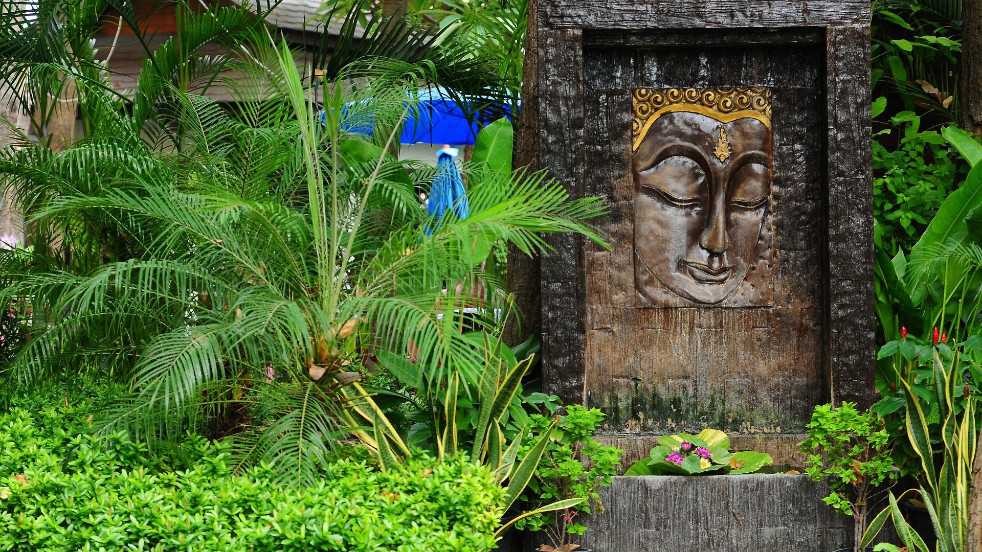 Gazebo Resort, รีสอร์ท Pattaya