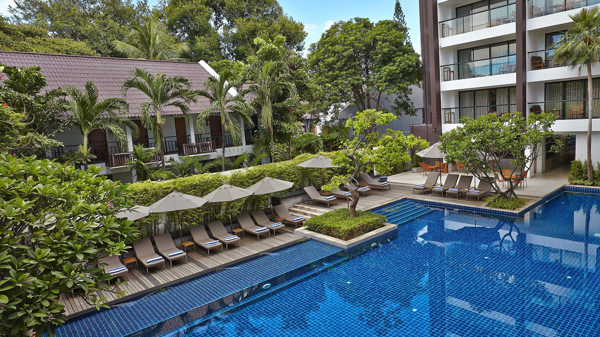 Woodlands