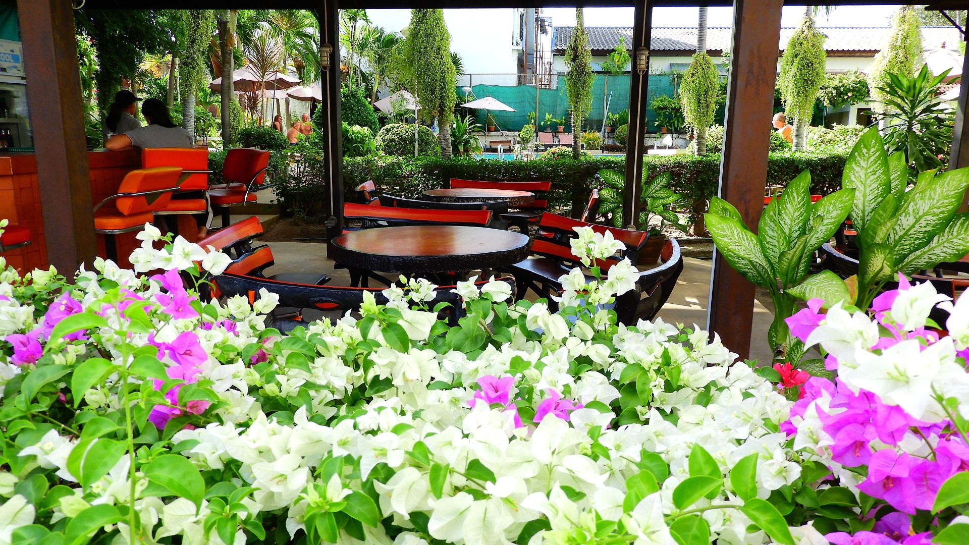 Hotel Romeo Palace 3*