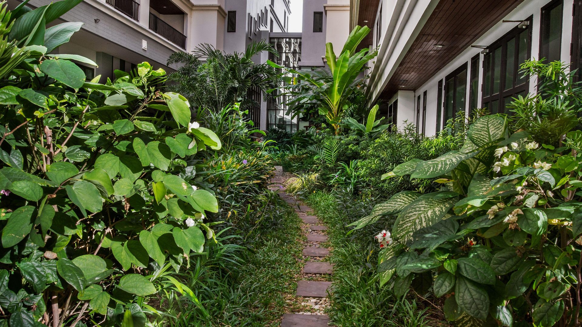 Mike Garden - Sha Extar Hotel 4*