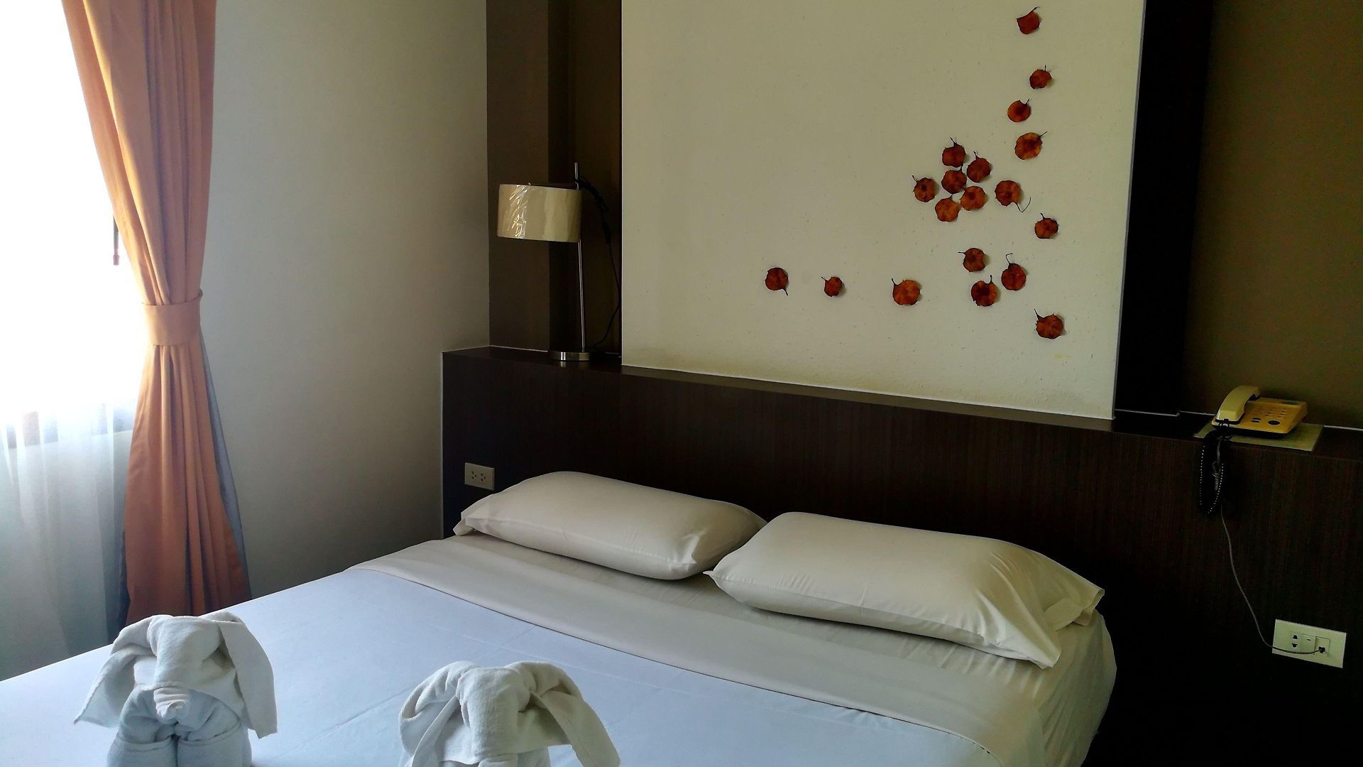 Flipper House - Sha Extra โรงแรม 3*