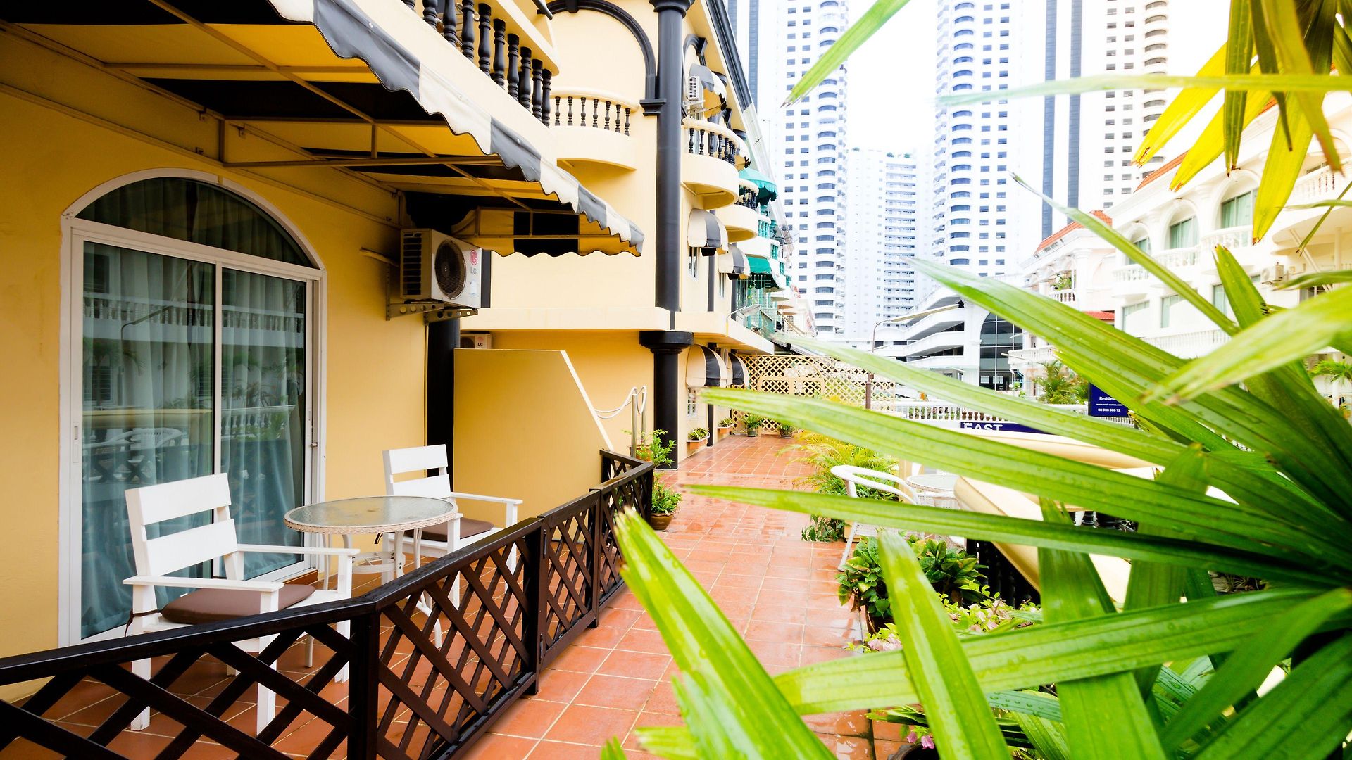 Zing & Pattaya