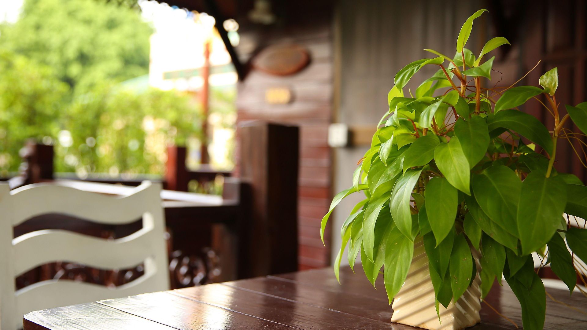 Diana Garden - Sha Extra โรงแรม
