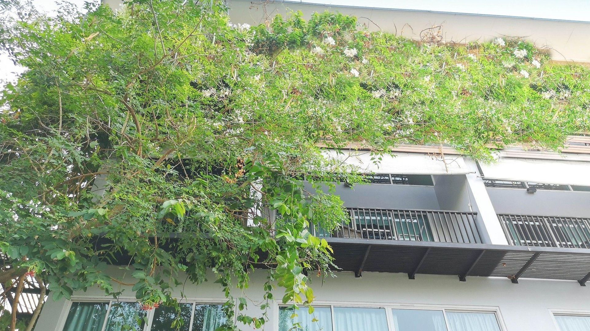 Tamnak 11br With Privater Pool โรงแรม 3*