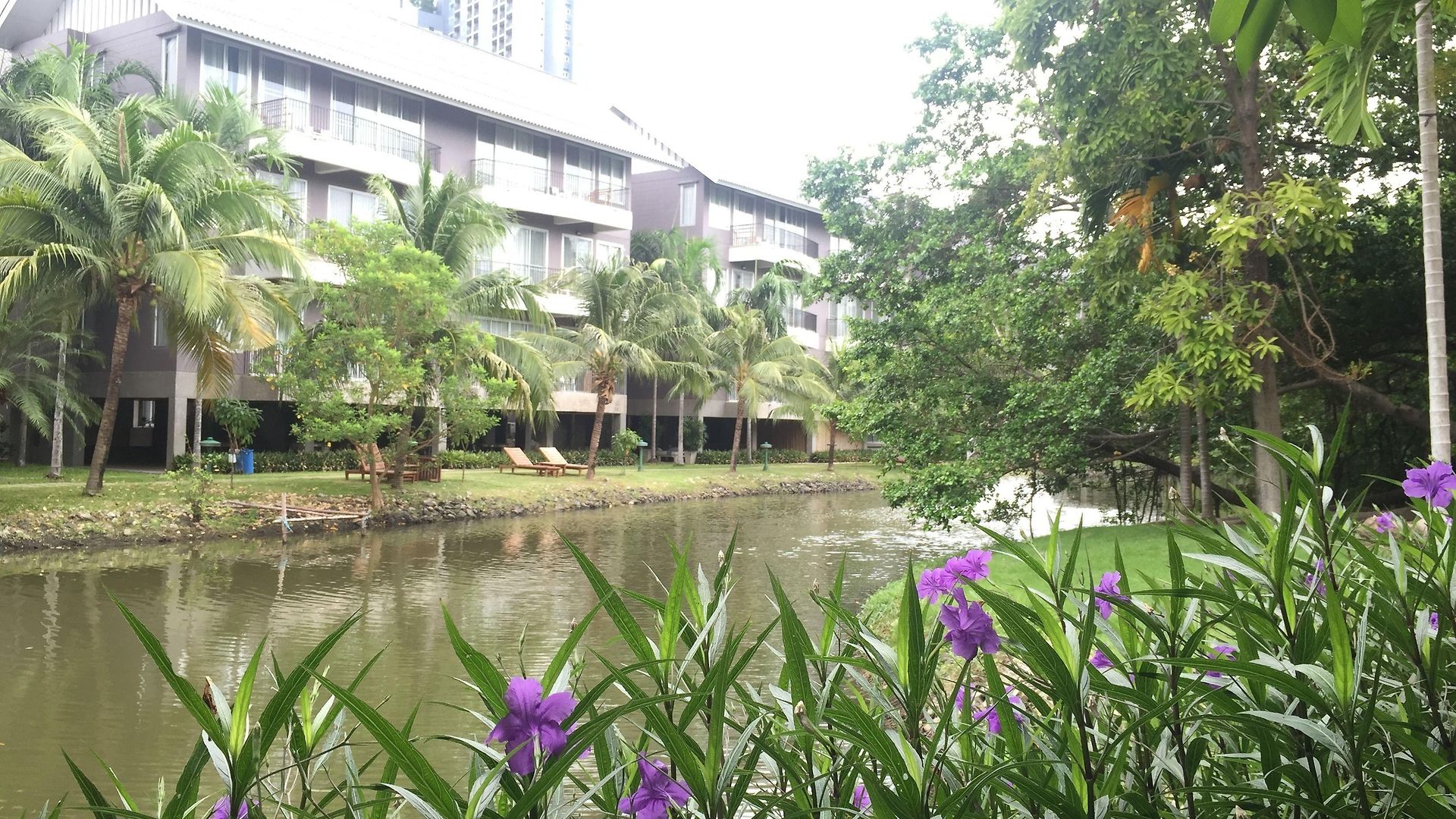 The Leela &