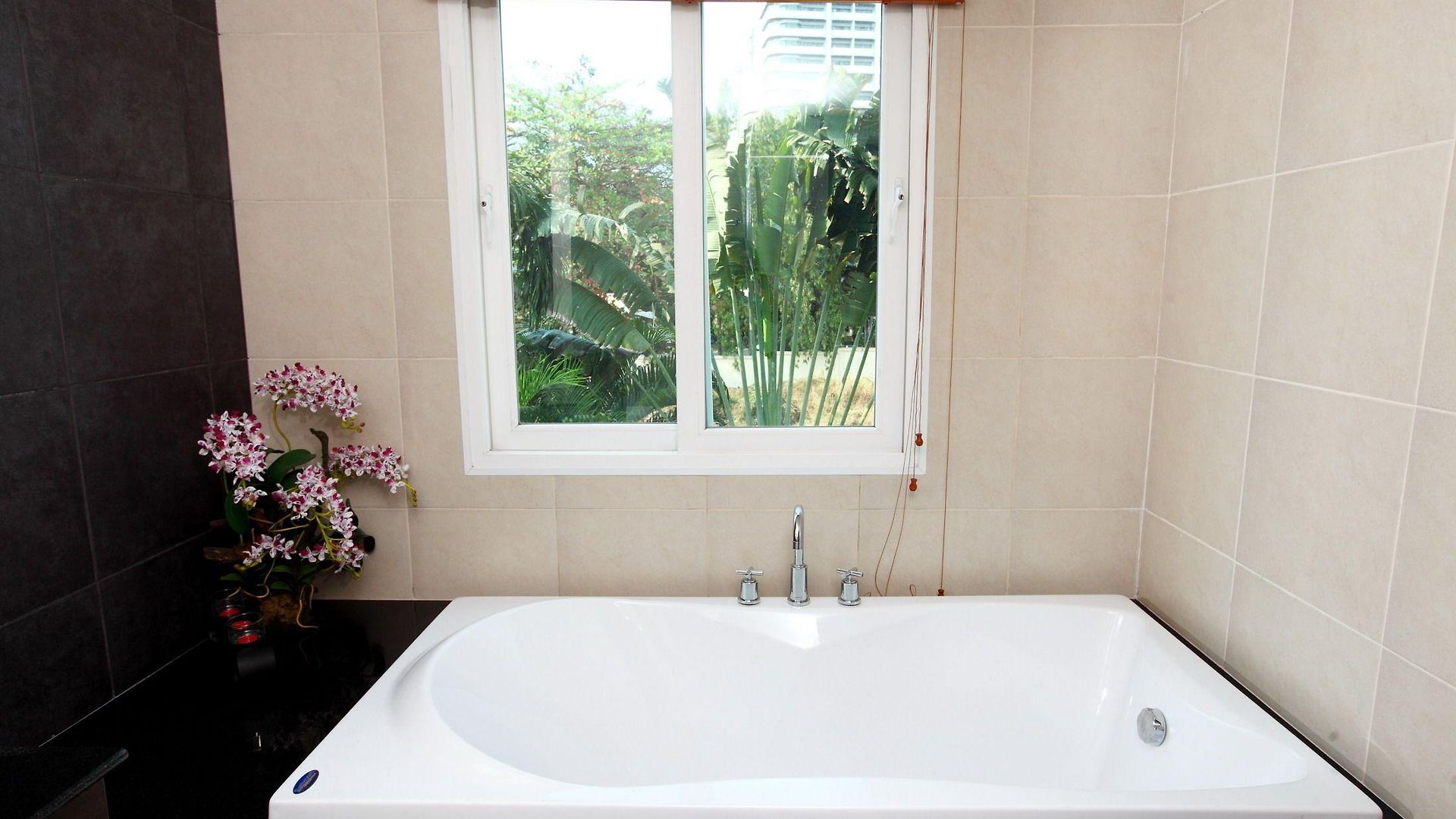 Hidden Palm Pool * Pattaya
