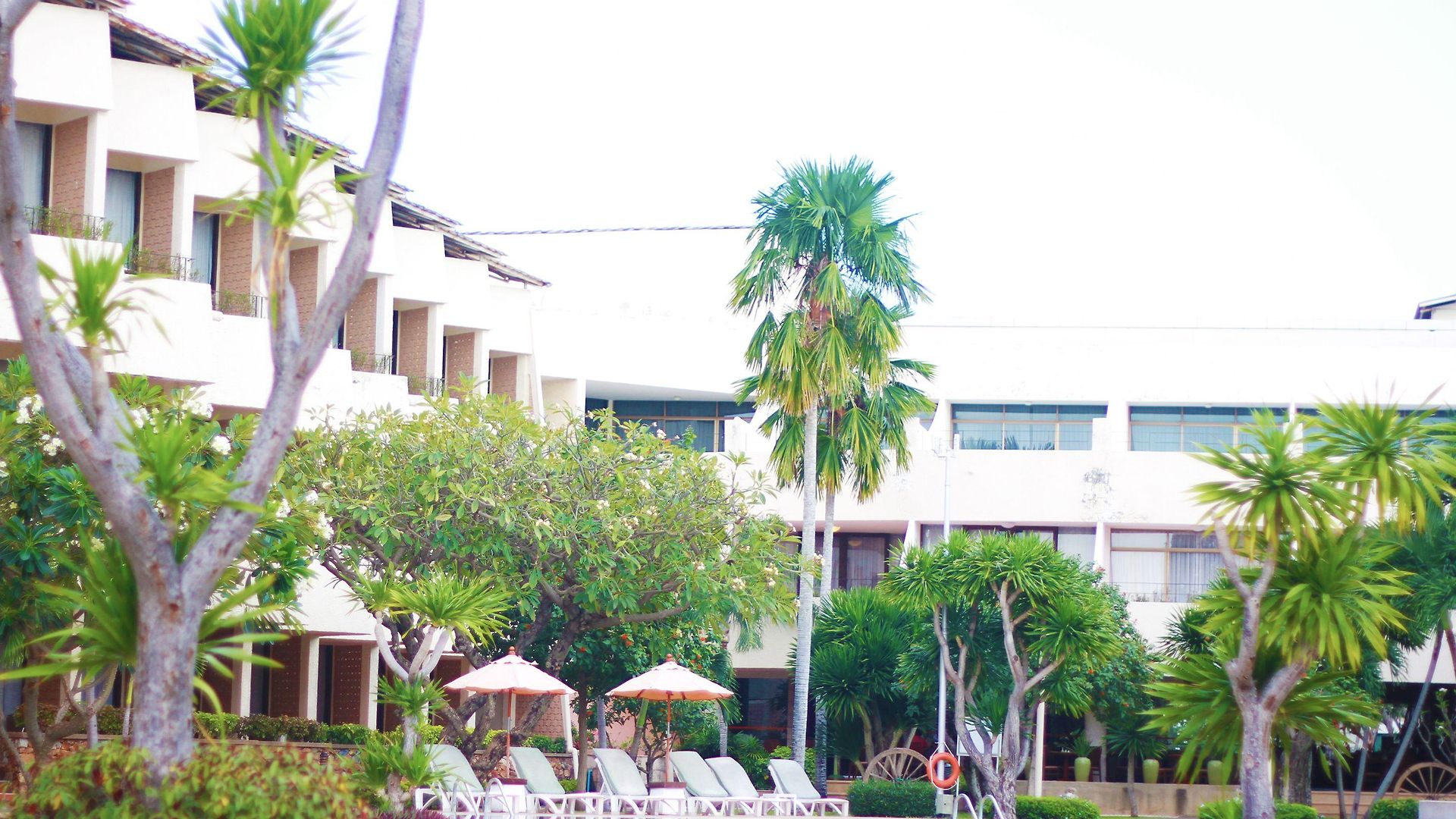 Tropicana Pattaya
