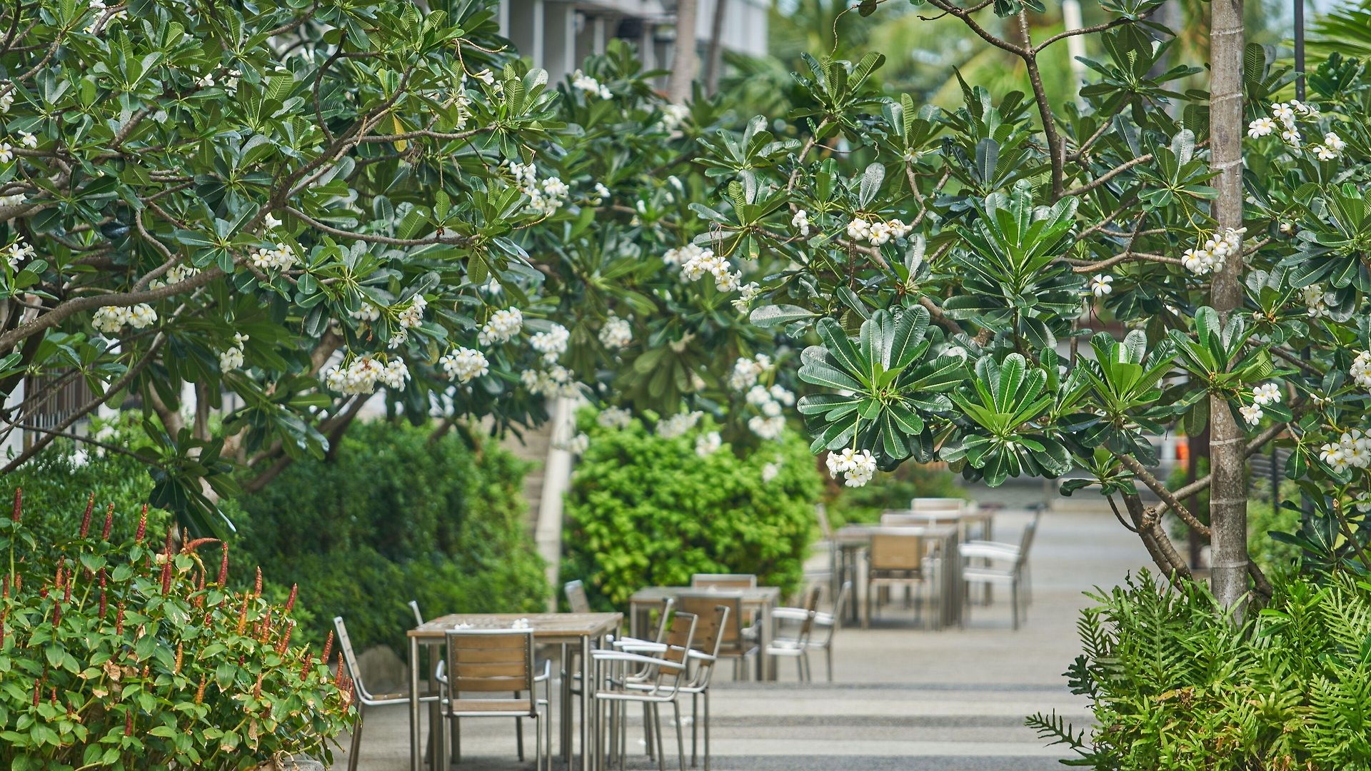 Welcome World Beachfront Pattaya