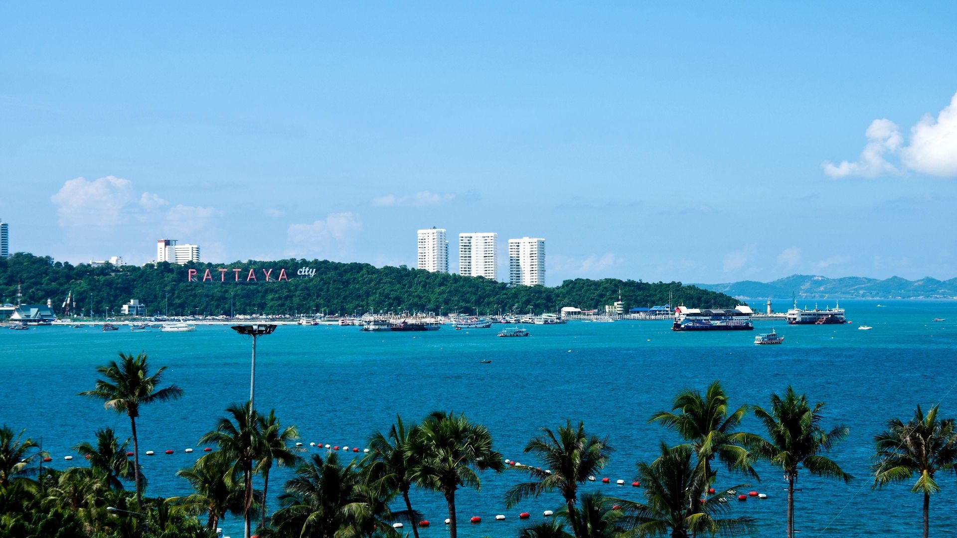 Flipper - Sha Extra โรงแรม Pattaya