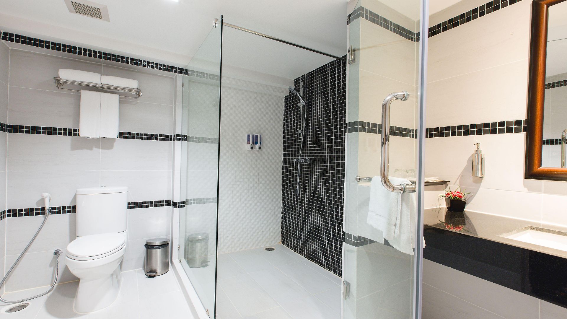 Adelphi โรงแรม 4*