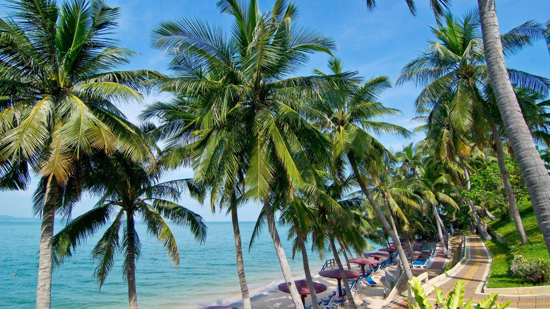 Royal Cliff Terrace โรงแรม Pattaya