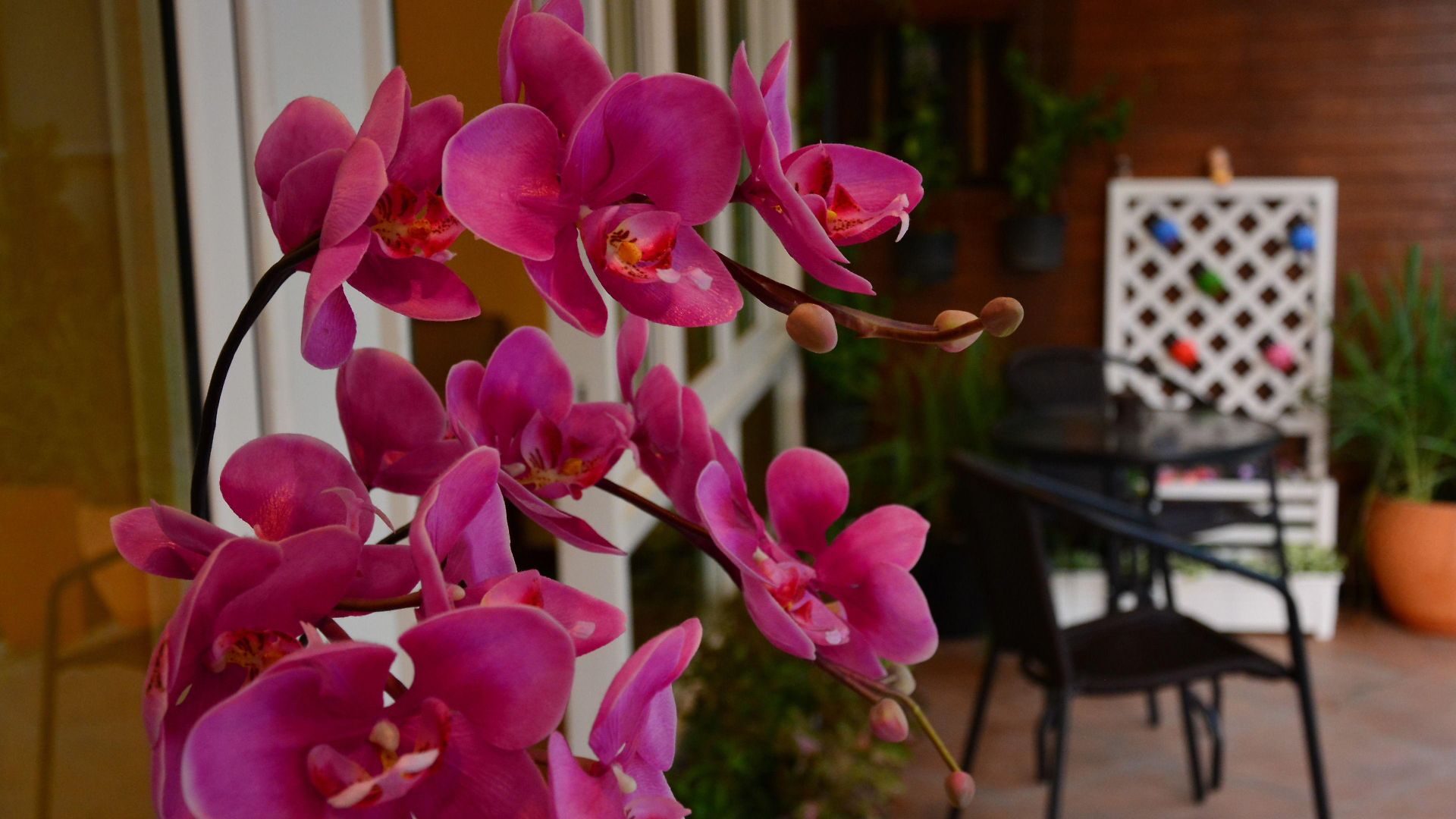 บ้านพัก Seedling House 2*