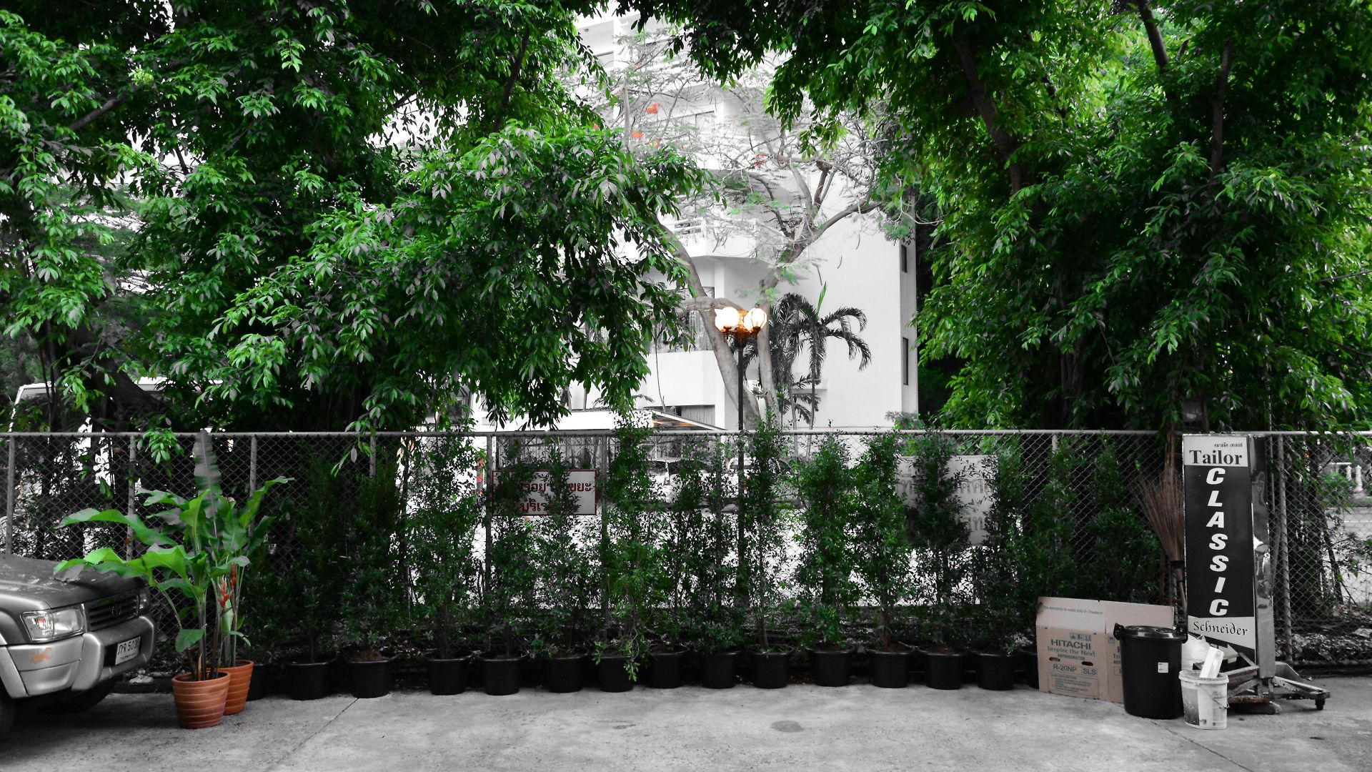 Seedling House บ้านพัก