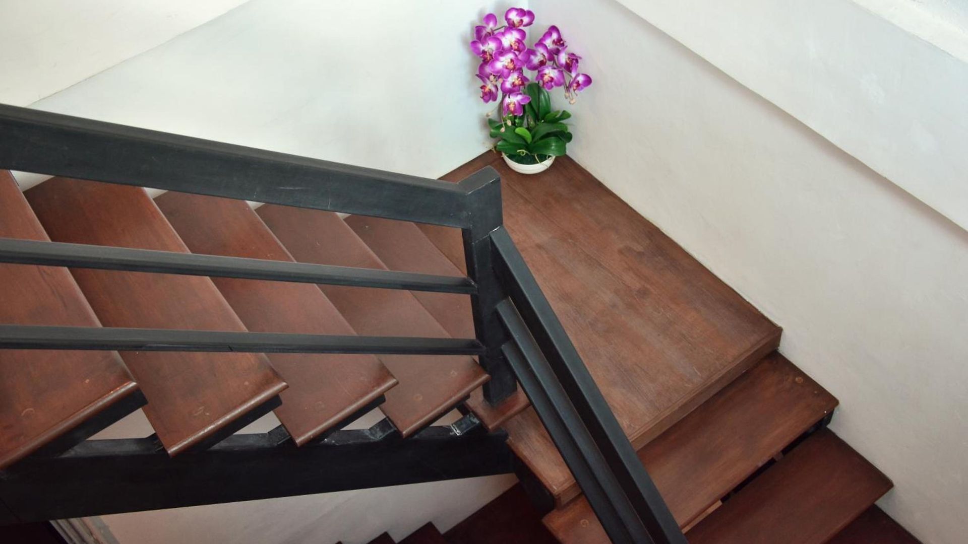 Seedling House Pattaya