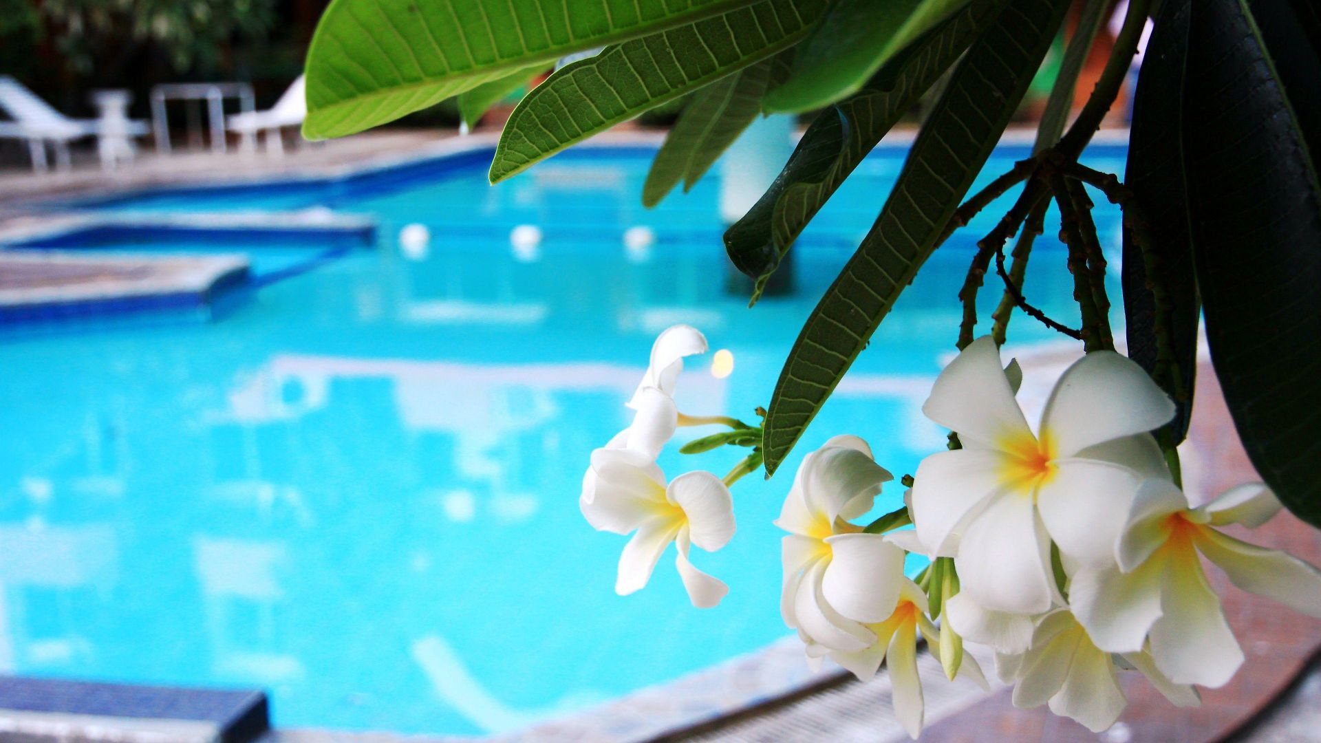 Seashore โรงแรม Pattaya
