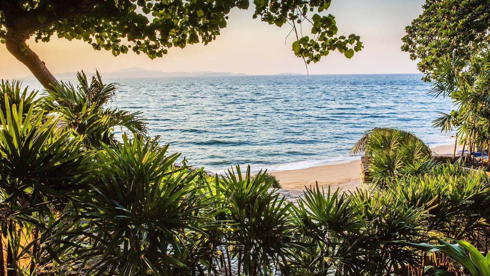 The Monttra - Sha Extra 5* Pattaya