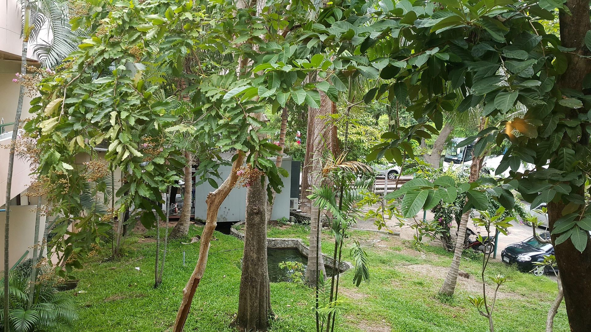 Hotel Garden Pattaya