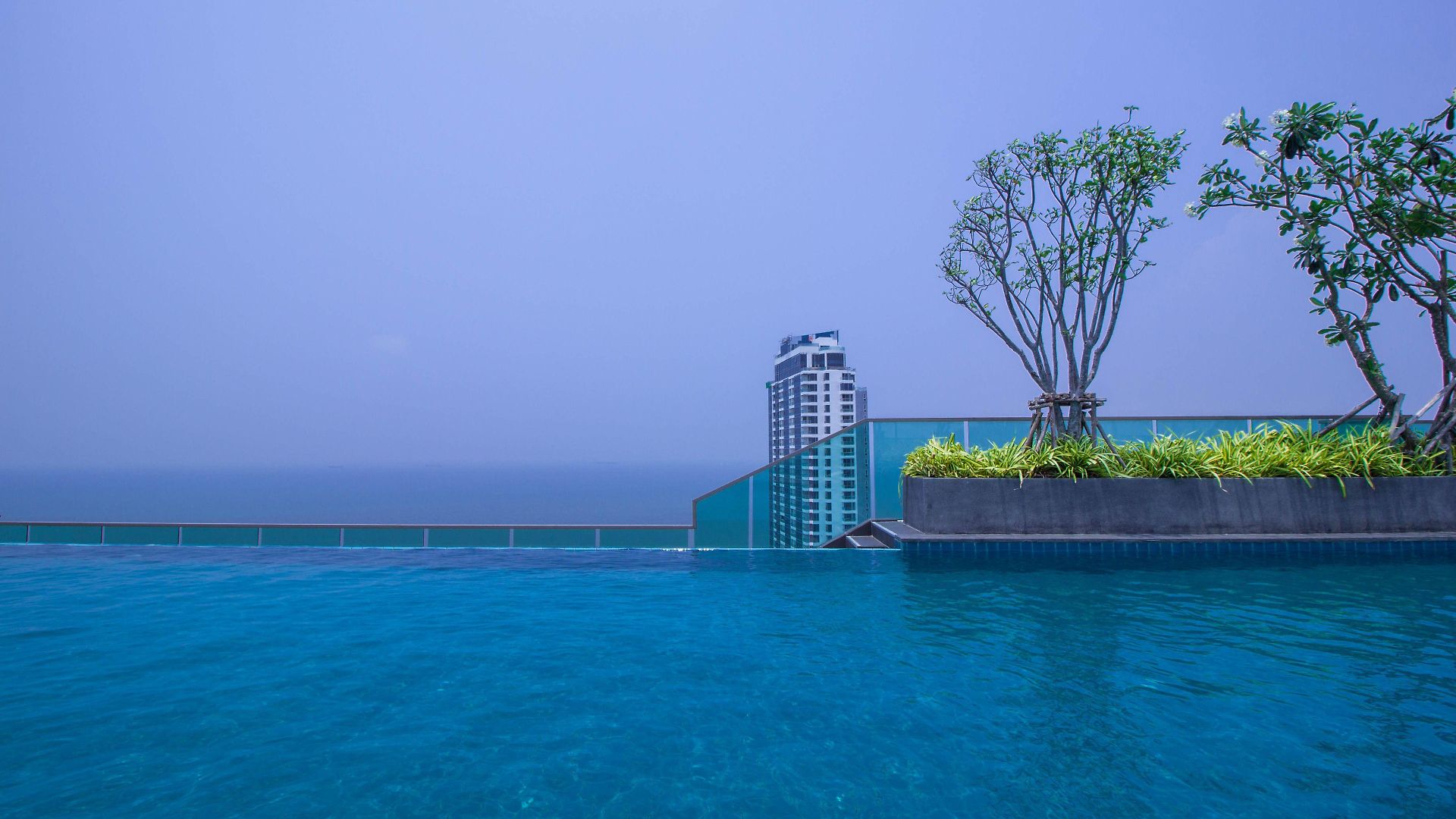 Wongamat Tower 1 Bedroom อพาร์ทเม้น *