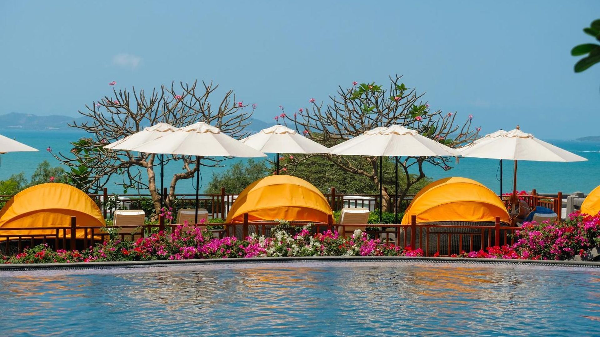 Royal Cliff Grand โรงแรม Pattaya