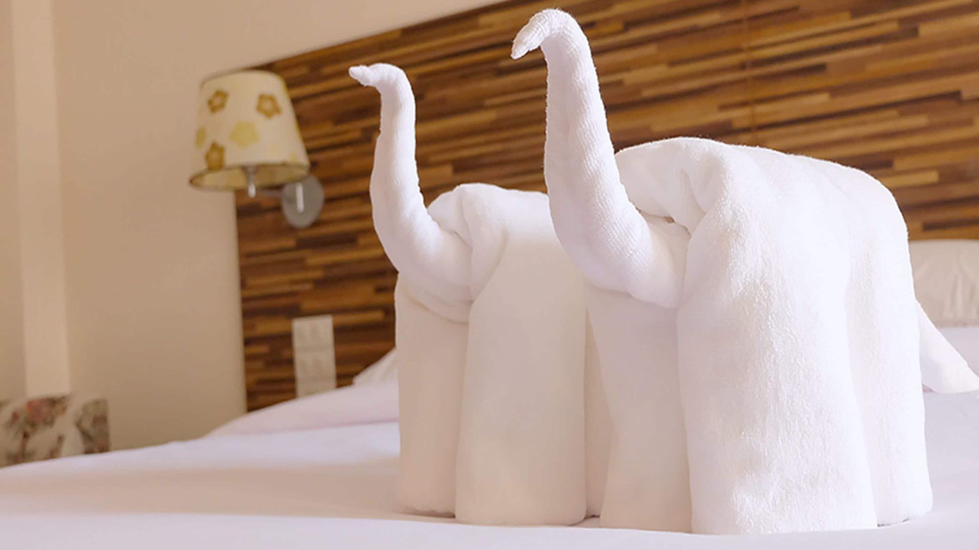 D Hotel 3*