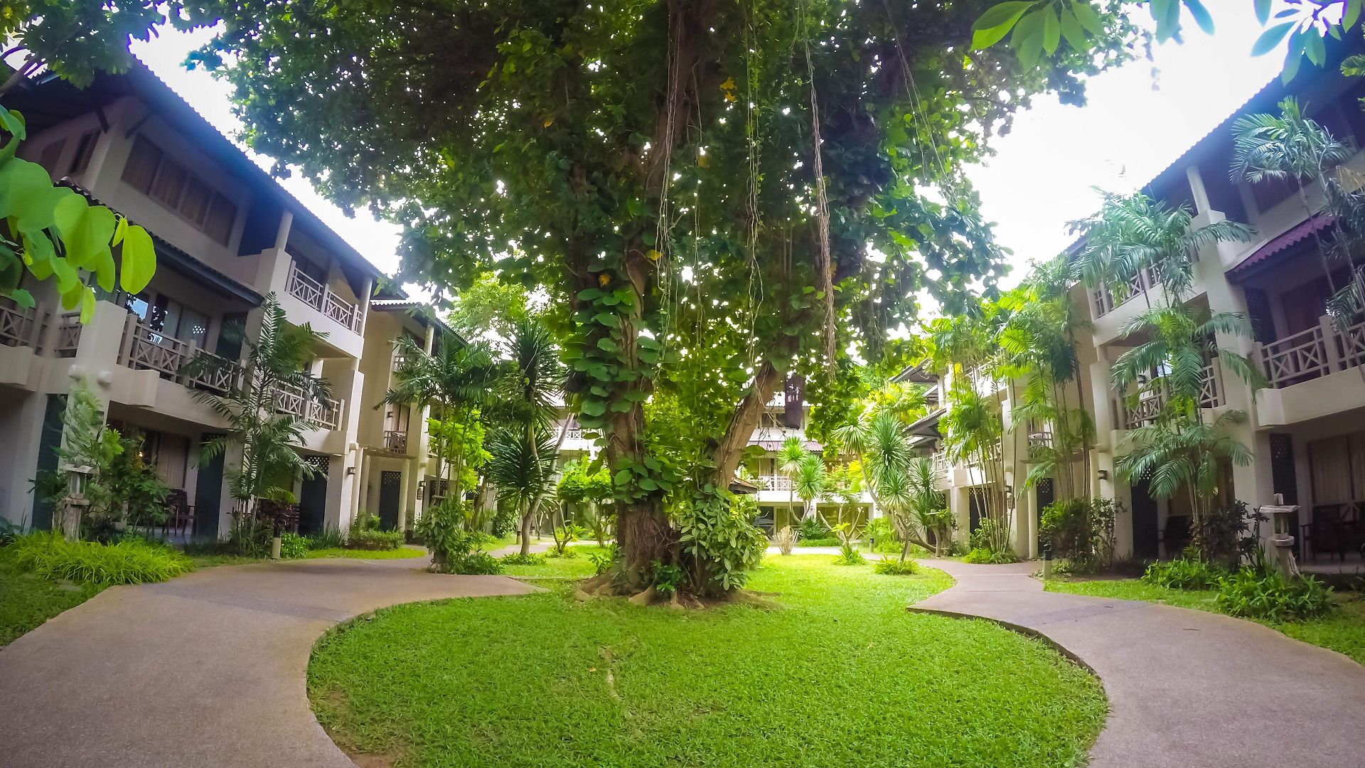 รีสอร์ท Natural Park Pattaya